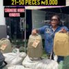 HANLIN KHAKI SCHOOL BAG - 035BTS